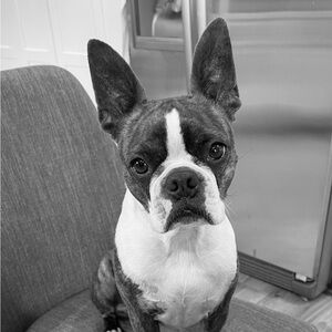 Meet your Posher, Anna